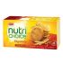 Britannia Nutri Choice Hi Fibre Digestive Biscuit 250 g Carton