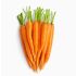 F2C Fresh Carrot Orange Gajar Kg