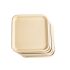 Chuk Champ 100% Sugarcane Compostable Tableware Disposal Plate Hard 12 Inches Square (Pack Of 25)