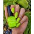 Coloressence Nail Paint Matte Finish Parrot Green (M-118) 5 Ml