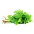 F2C Fresh Basil Leaves 100 g