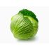 F2C Fresh Cabbage | Patta Gobi Medium (Approx. 900 g To 1.2 Kg) 1 Pc