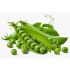 F2C Fresh Green Peas | Hara Matar Kg
