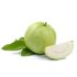 F2C Fresh Imported Guava Thai Amrudh Kg