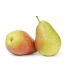 F2C Fresh Imported Pear Nashpati | Babu Gosha Kg