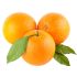 F2C Fresh Imported Orange | Malta | Santara 1 Kg