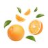 F2C Fresh Imported Orange Malta Santara Kg