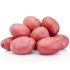 F2C Fresh Potato Red | Lal Aalu 1 Kg