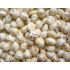 F2C Premium Choice Lotus Seeds | Phool Makhana | Fox Nuts 250 g Pouch