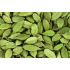 F2C Super Select Green Cardamom Chhoti Elaichi 100 g Pouch