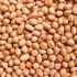 F2C Super Select Raw Peanuts | Mungaphali | Groundnut 1 Kg Pouch