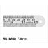 Khyati Sumo Stainless Steel Scale 30cm Long Ruler 12 Inch 1 Pc