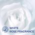 Lux International White Flower Creamy Perfection Bath Soap Bar 75 g Carton