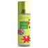 Signature Gardenia No Gas Air Freshener Spray | Room Freshener | Car Freshener 250 ml
